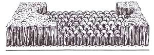 Cut and loop "Textured" carpet