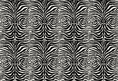 The Zebra print Axminster Carpets Collection - 80% wool / 20% nylon - 4m / 13'1" width